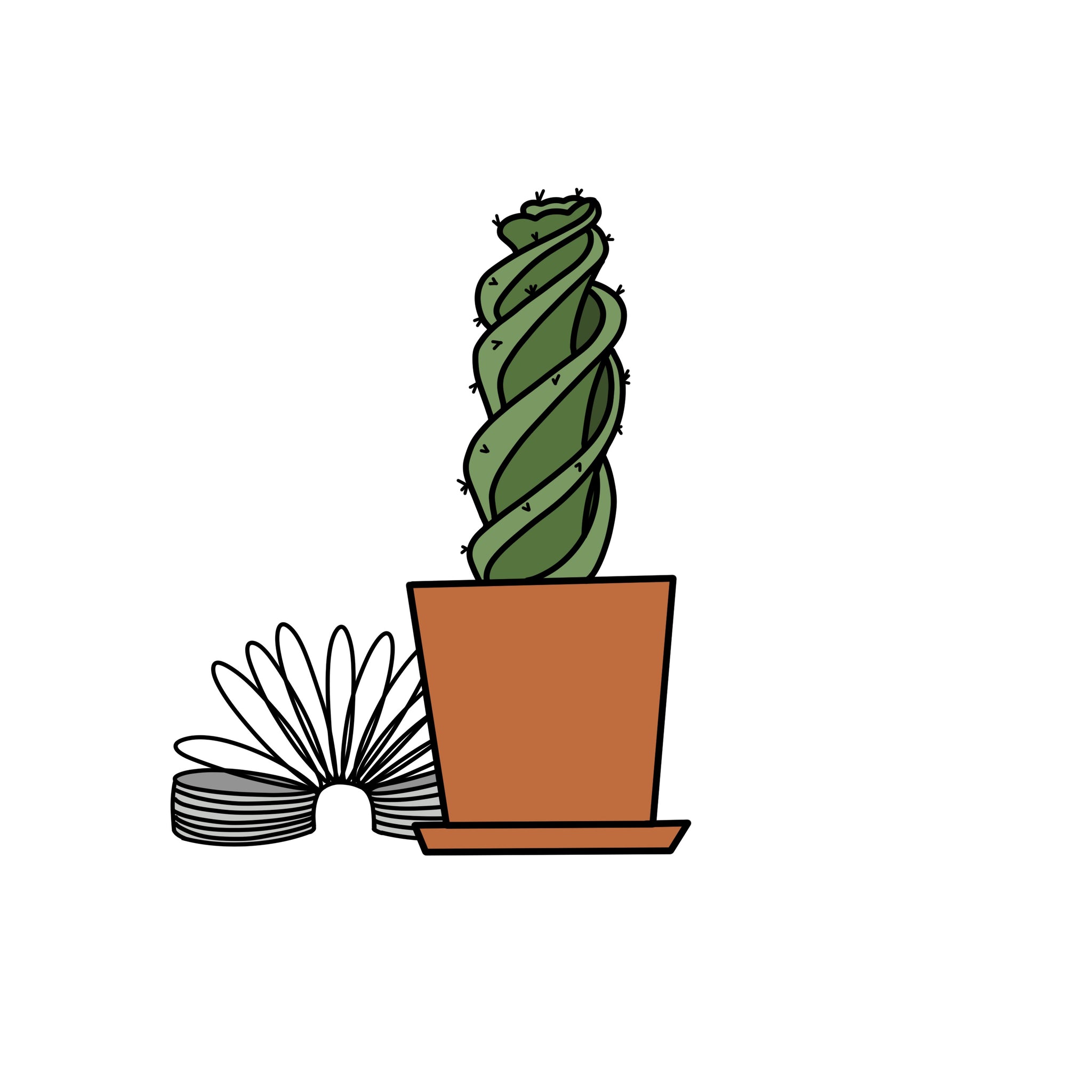 Spiral Cactus (Potted)